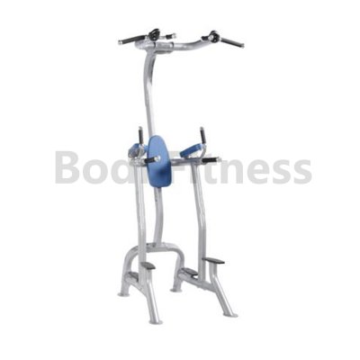 BD-6053 Fitness Tree