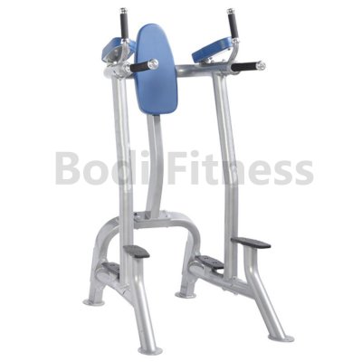 BD-6052 Vertical Knee Raise/Dip