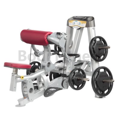 BD-6061 Biceps Curl