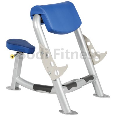 BD-6042 Preacher Curl