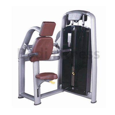 BD-7007 Triceps Dip