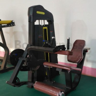 BD-3004a Seated Leg Curl &Leg Extension