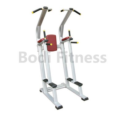 BD-8050 Vertical Knee Raise