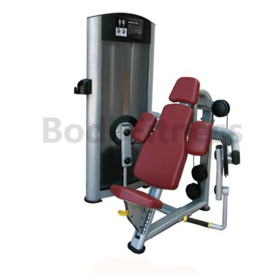 BD-8004 Seated Biceps Curl