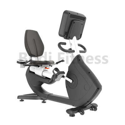 BD-9011a Commercial Recumbent Bike