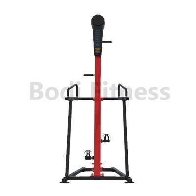 BD-9009D Vertical Climber with Monitor