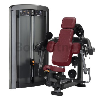 BDN-8004 Seated Biceps Curl