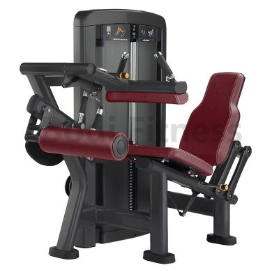 BDN-8017 Seated Leg Curl