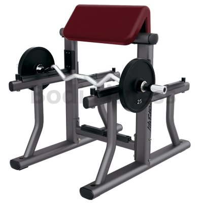 BDN-8040 Preacher Curl